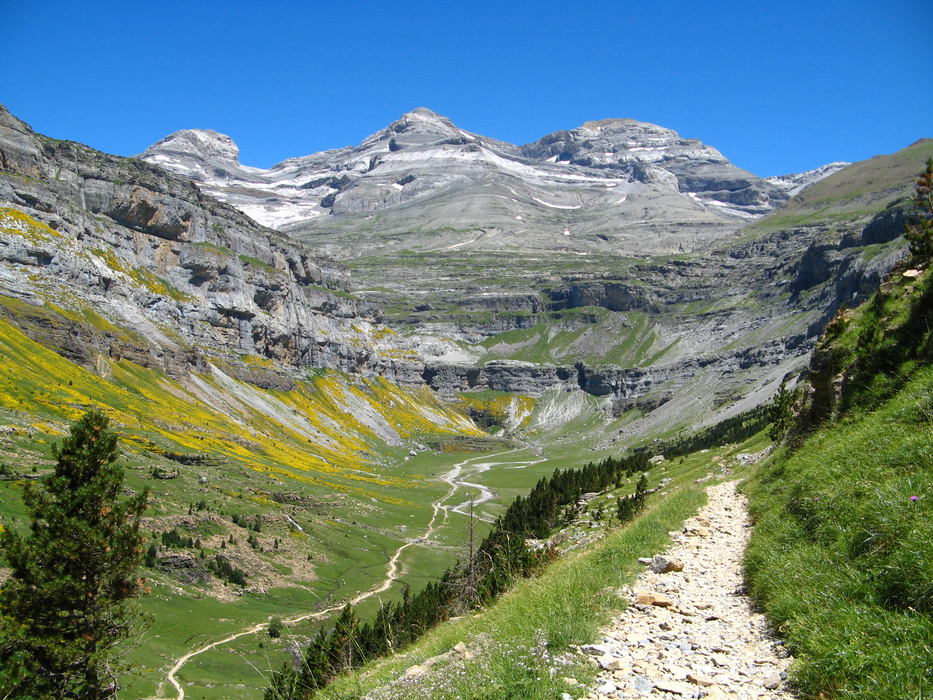 image_1